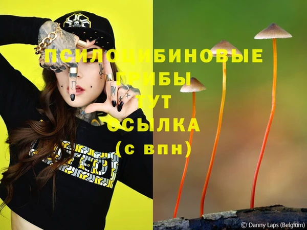 герыч Балахна