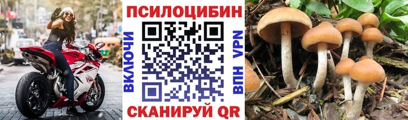 Галлюциногенные грибы ЛСД  Бузулук 
